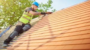 Best Skylight Installation and Repair  in Wauseon, OH