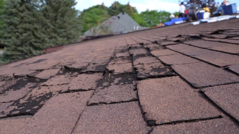 Best Sheet Metal Roofing  in Wauseon, OH