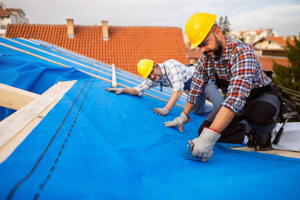 Best Emergency Roof Repair Services  in Wauseon, OH