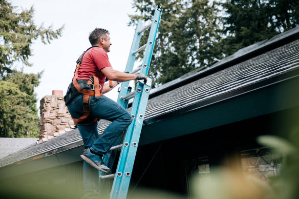 Best Roof Maintenance and Cleaning  in Wauseon, OH