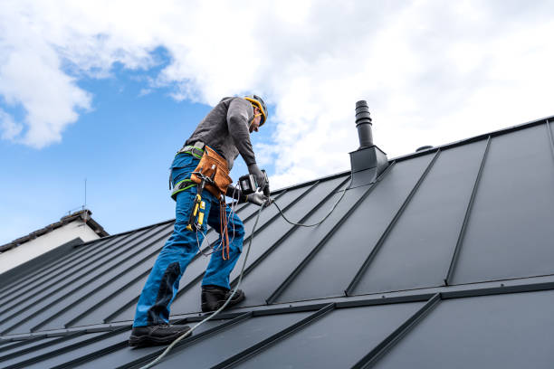 Best Storm Damage Roof Repair  in Wauseon, OH